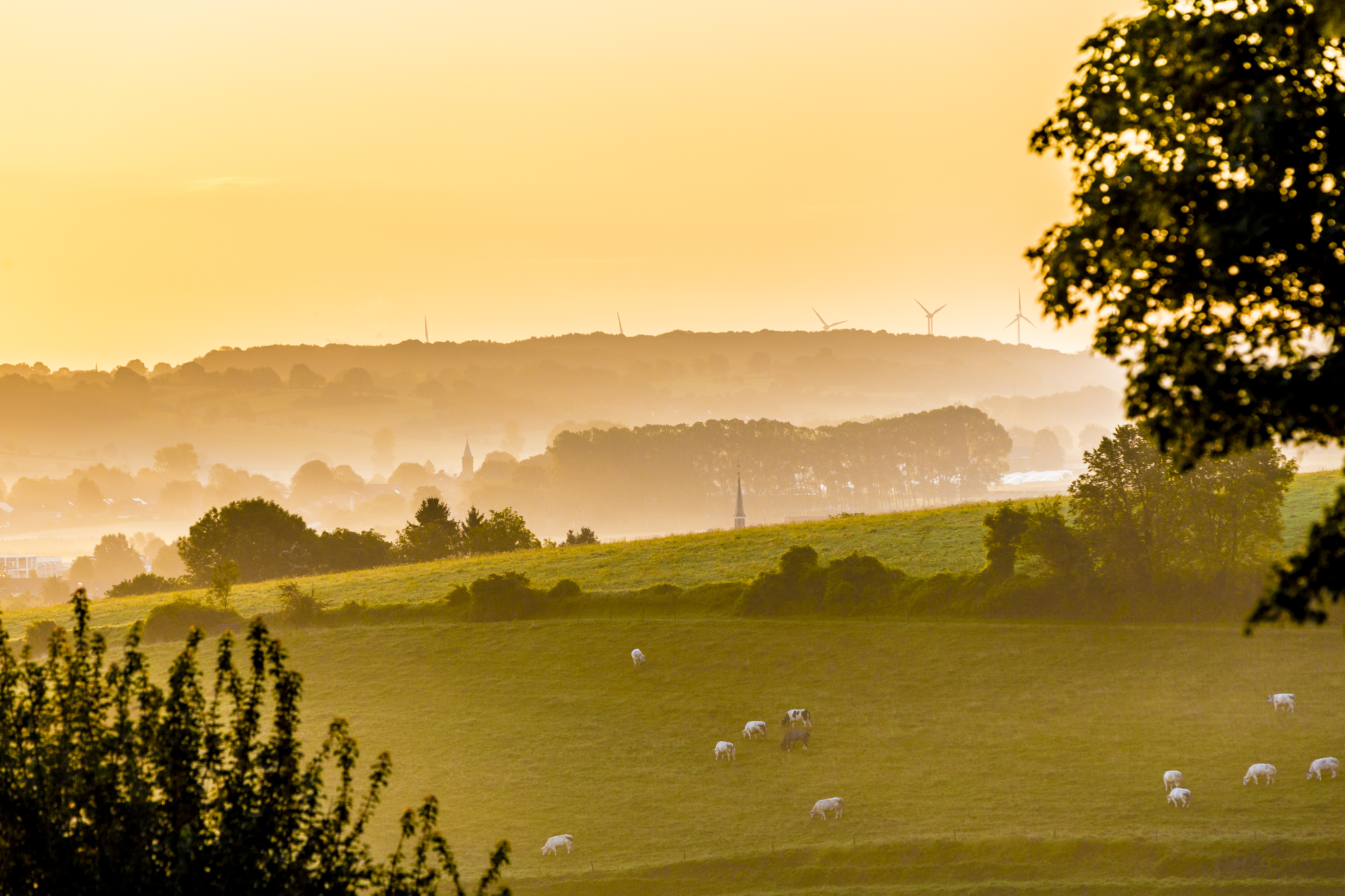 Limburg omgeving camping Gulperberg