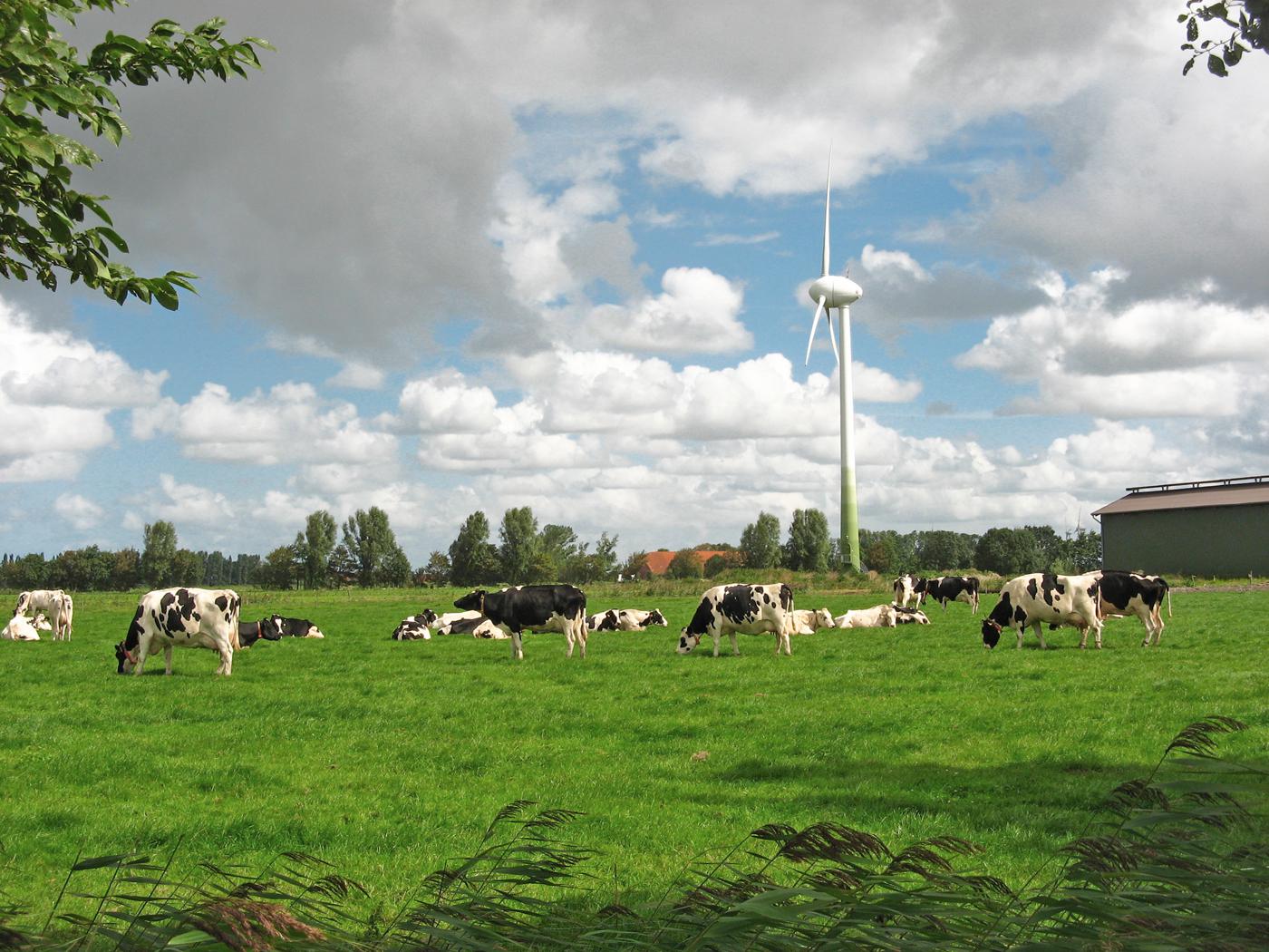 8-daagse fietsvakantie Oost-Friesland