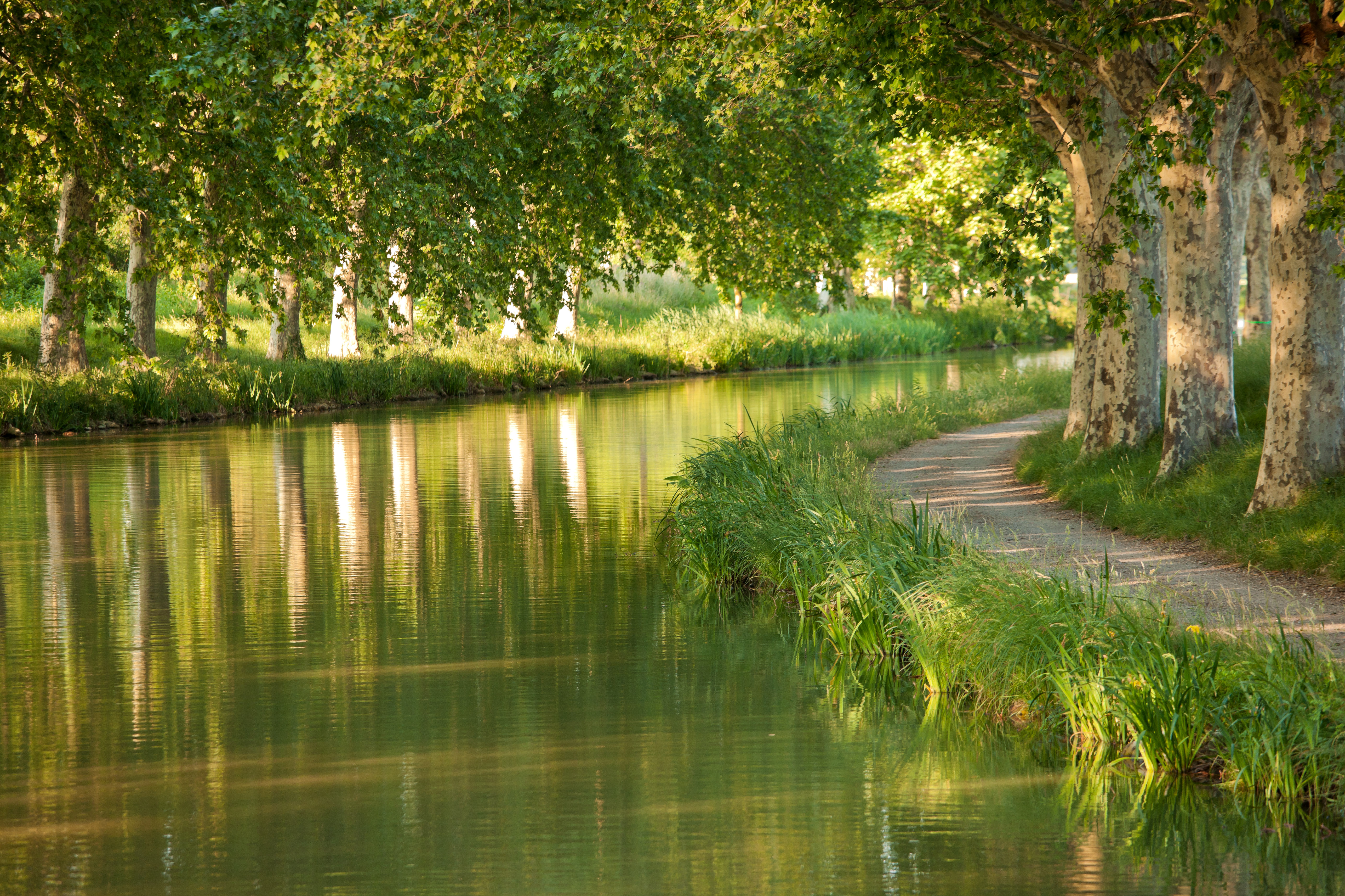 Locaboot vaargebied Camargue